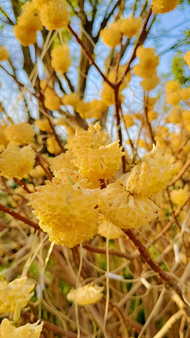 《太白山國家森林公園，這些實用資訊你還不知道？》
