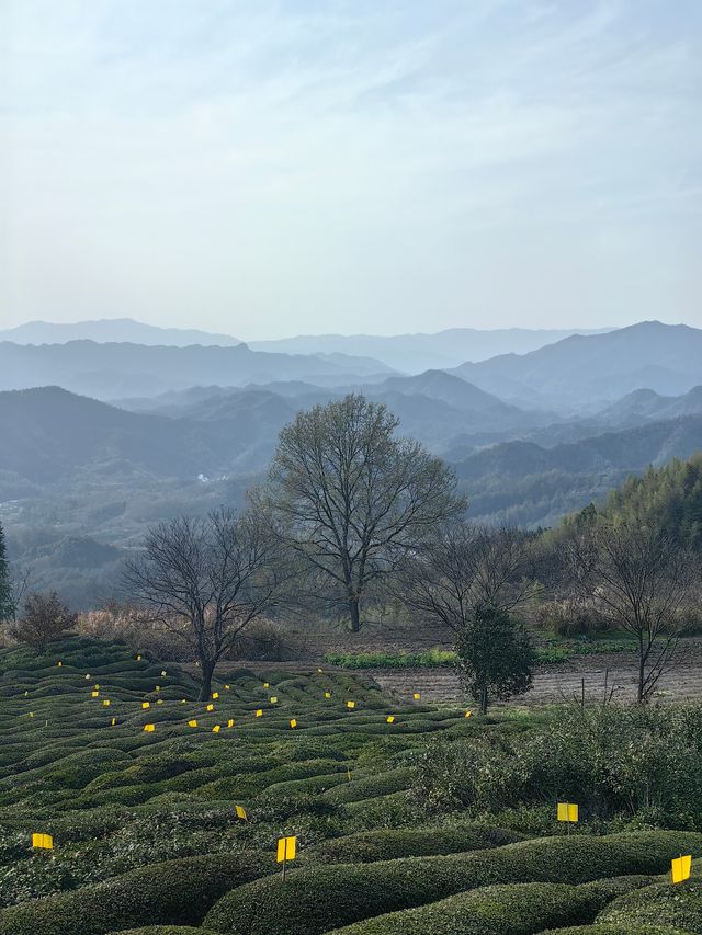 尋找徽州下一個旅行目的地，休寧金龍山