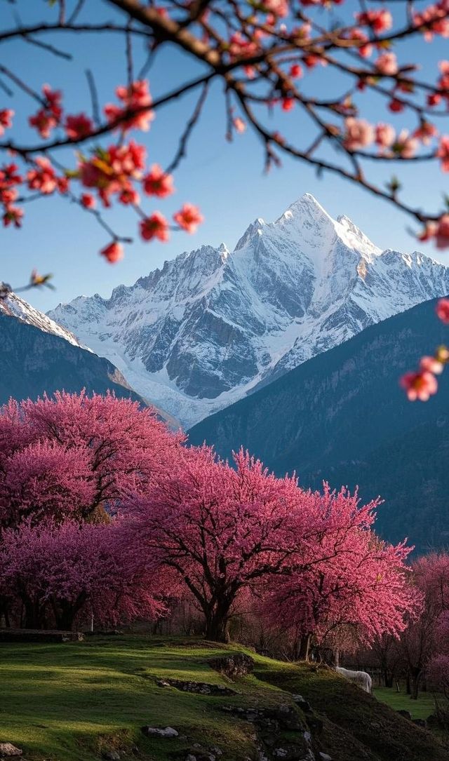 四月芳菲，賞花之旅正當時！解鎖中國四大絕美賞花城市