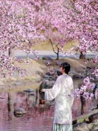 「普照佛光疊翠巒，無錫聖境秀靈山」