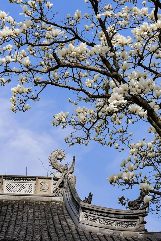 杭州1小時直達！帶小朋友勇闖現實版綠野仙蹤