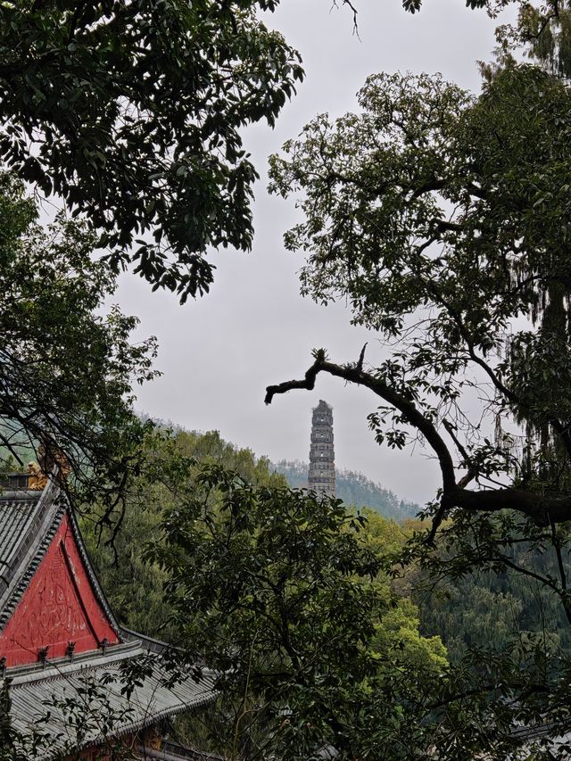 隋梅古剎尋禪記｜台州國清寺一日行攝攻略