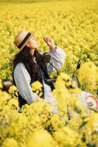 興義萬峰林油菜花不可錯過春日花海