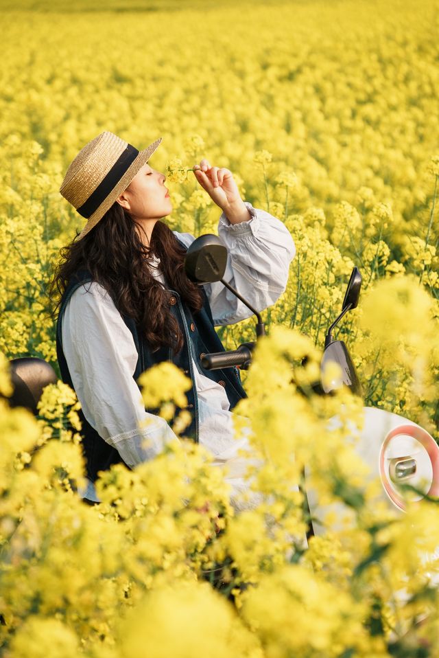興義萬峰林油菜花不可錯過春日花海