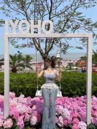 🌷珠海 | 城市客廳驚現夢幻花海鹿境