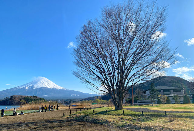 日本最高峰｜富士山