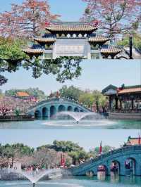 Baomo Garden in spring 