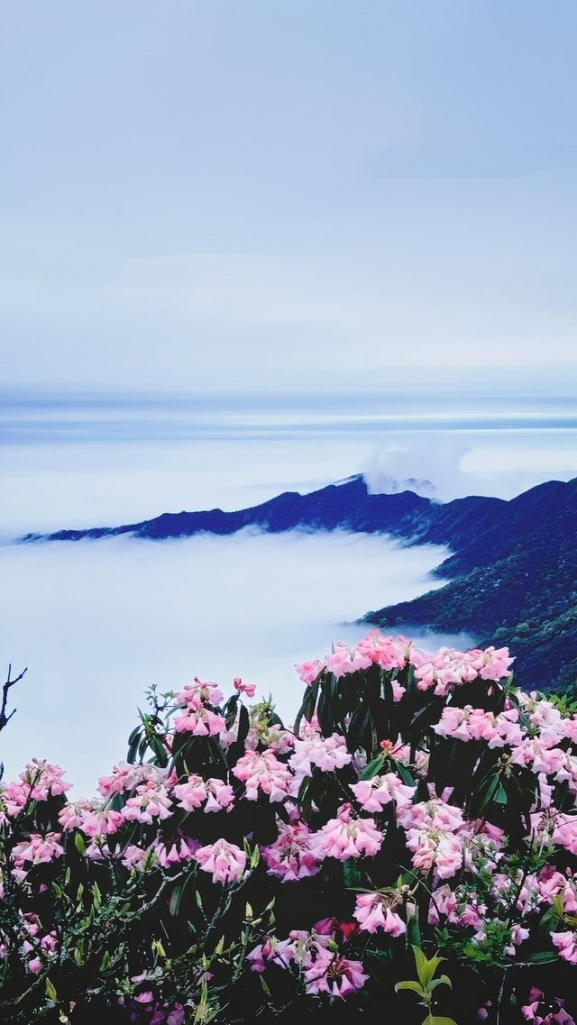 膽小勿入 易打顫