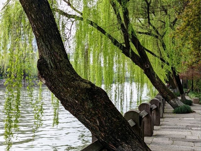 杭州運河區很不錯