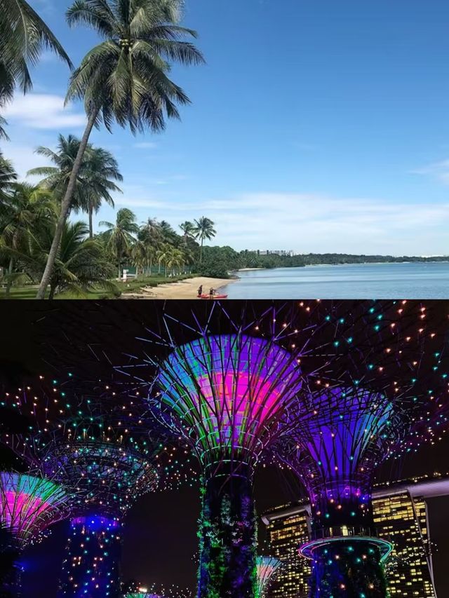新加坡之旅剛結束，朋友圈已被瘋狂追問。