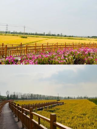Tianjin Getaway | An Underrated Treasure Village