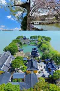 春日漫遊｜避開人潮嘅小眾踏青地