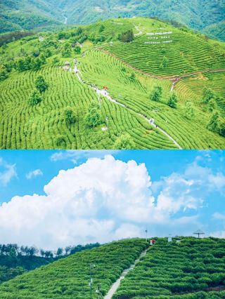 Must-Visit Attractions in Ankang: Rural Landscapes, City of Oxygen