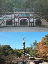 山與寺民宿，來了不想走！