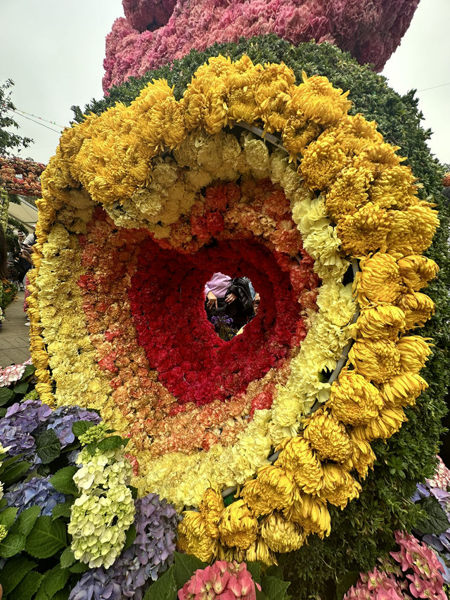 香港維多利亞公園花卉展的魅力！