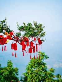 中國的登封，世界的功夫