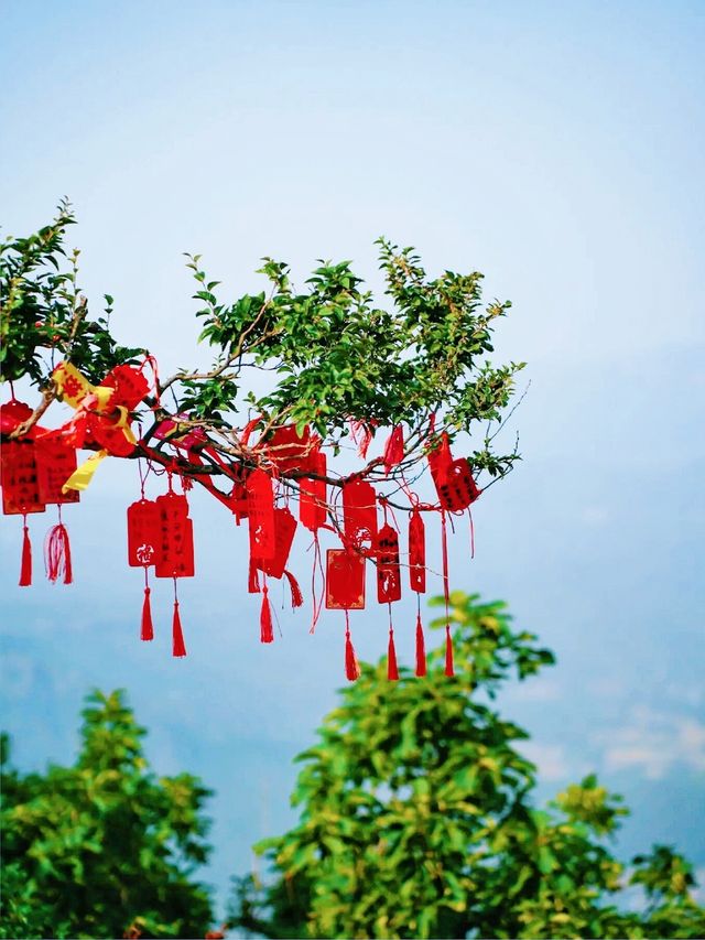 中國的登封，世界的功夫