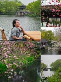 杭州西湖春日賞桃指南，春日裡的限定浪漫