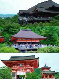 京都＆宇治雙城記，世界文化遺產之旅