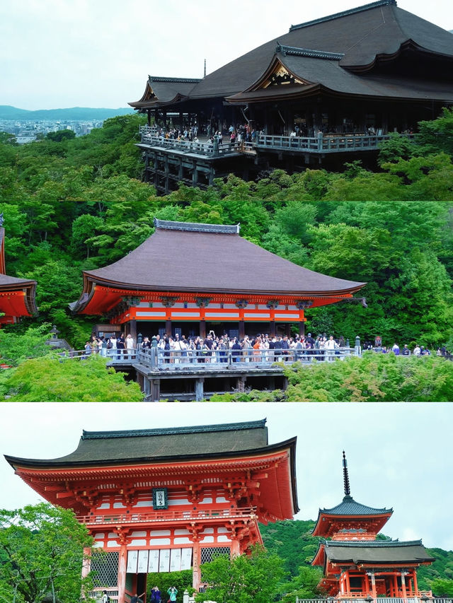 京都＆宇治雙城記，世界文化遺產之旅