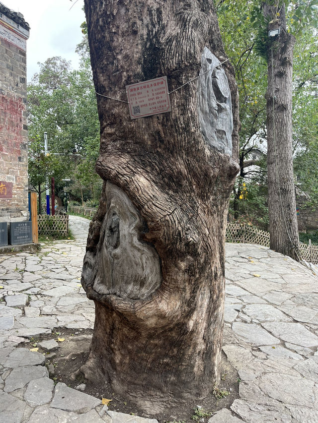 探秘千年家族密碼！荊坪古村祠堂
