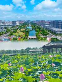 登碣石望滄海濱州呢片渤海明珠藏住幾多驚喜