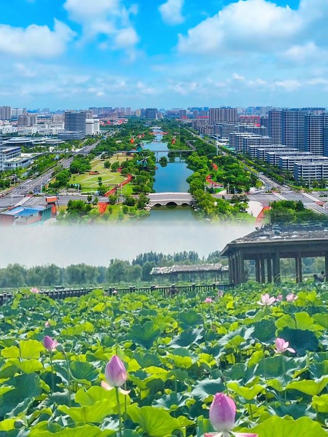 登碣石望滄海濱州呢片渤海明珠藏住幾多驚喜