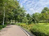 ☀️陽光下的沙井公園🌴✨城市中自然綠洲