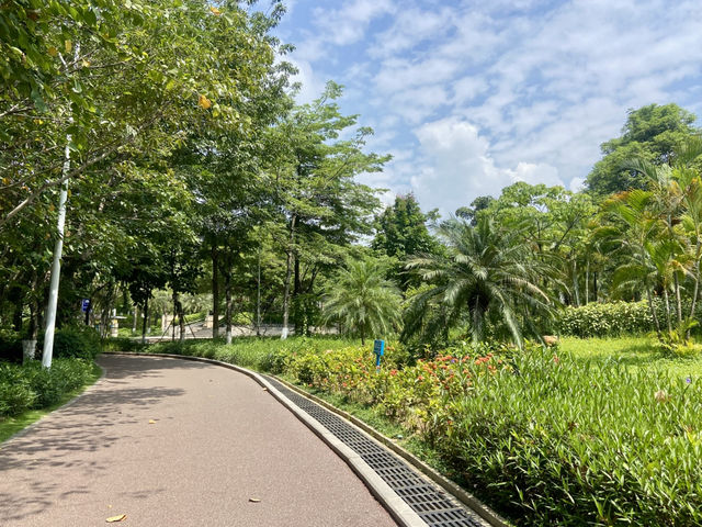 ☀️陽光下的沙井公園🌴✨城市中自然綠洲