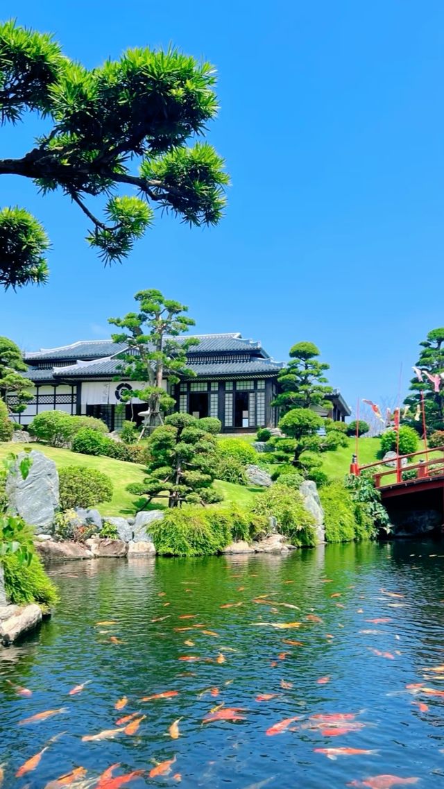 【芽莊旅遊全攻略】玩轉越南珍珠海岸，解鎖潛水天堂新玩法！