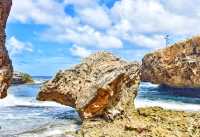 環遊世界系列加勒比地區：庫拉索西島遊