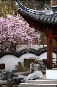 蘇州地道攻略端午三日神仙玩法