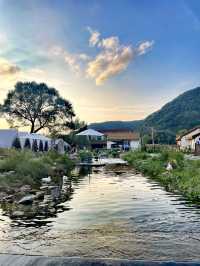 本溪院裡樹下露營|瀋陽後花園嘅吸氧之旅