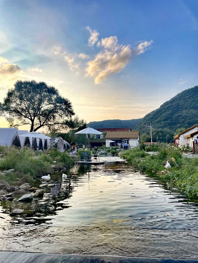 本溪院裡樹下露營|瀋陽後花園嘅吸氧之旅