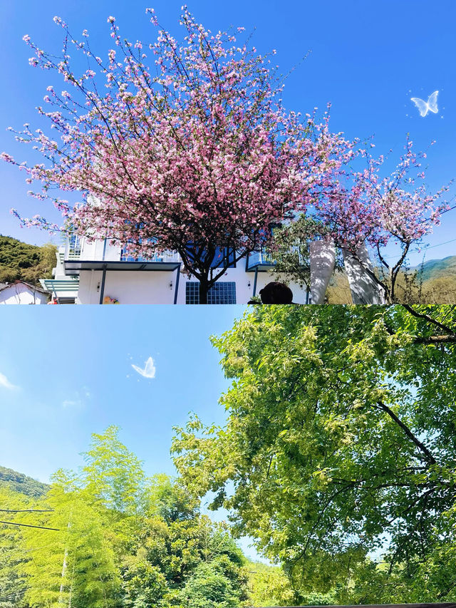被《紐約時報》推薦嘅東方隱世地