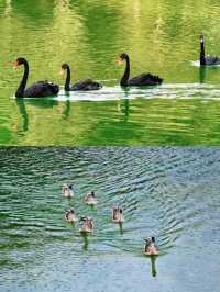 炎炎夏日玩水避暑，廣州小九寨溝就GO  炎炎夏日、又悶又熱 除了冷氣房，還能往哪逃啊？ 不妨約上三