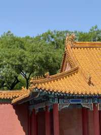 The Palace Museum 