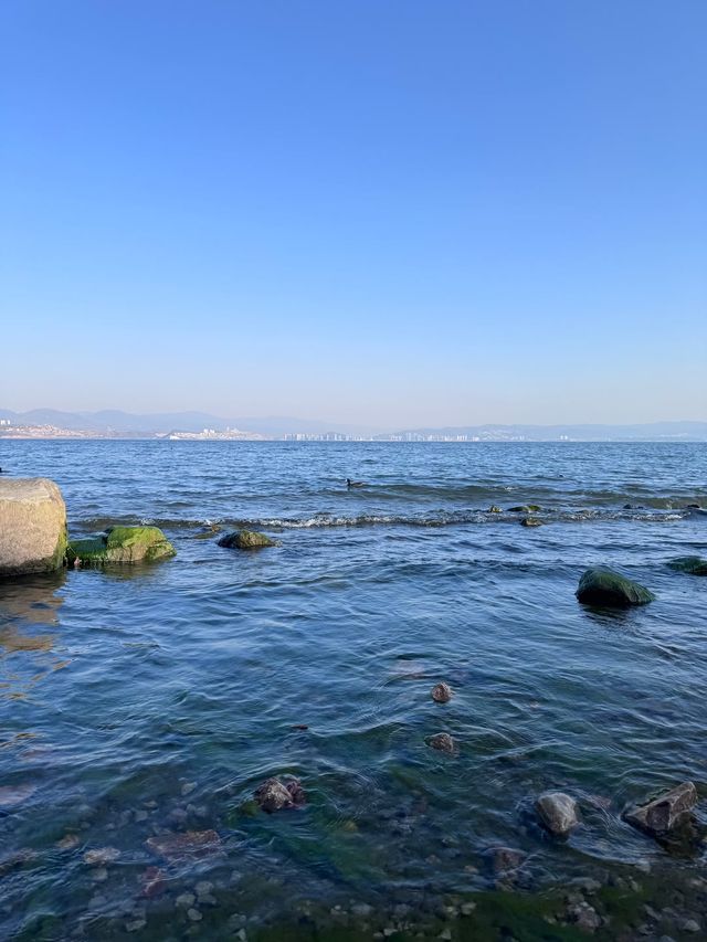 𝗗𝗮 𝗟𝗶大理·洱海「背靠蒼山，面向洱海」