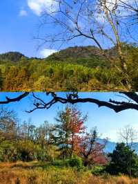塔川森林公園，邂逅秋天的童話！