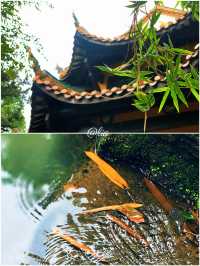 我相冊裏嘅100座城：6.長沙