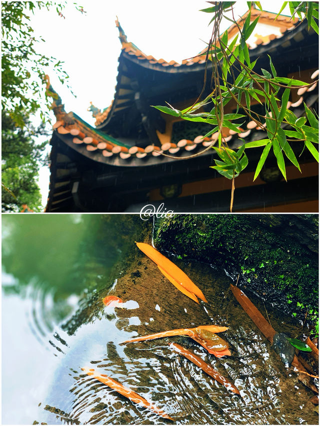 我相冊裏嘅100座城：6.長沙