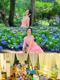 揚州，住進繡球花海包圍嘅莊園
