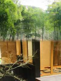 瘋傳莫干山「暗黑系秘境」火出圈！–––湖州篇