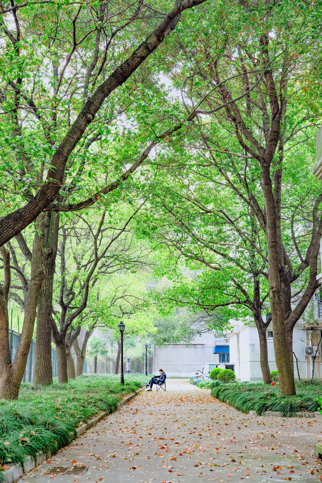 廣州週末去邊度玩？呢8個免費公園，快啲安排！