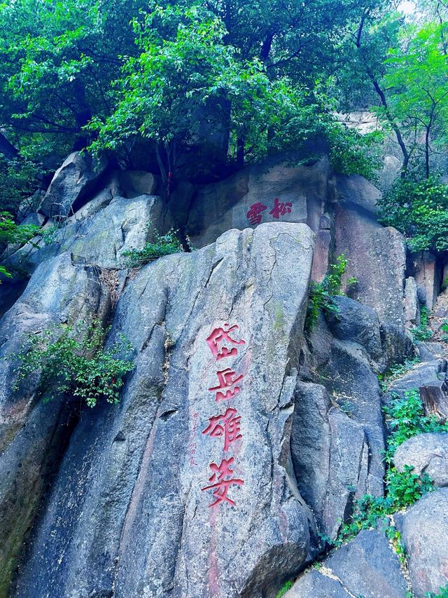 暴走速登泰山