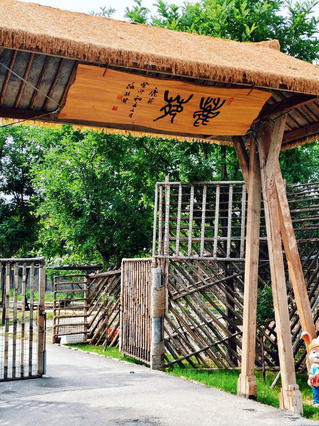 消磨時間好去處 | 漢陽驛房車營地 仲煩緊暑假帶小朋友去邊度玩？想避開人山人海，又希望活動豐富、體驗獨特？