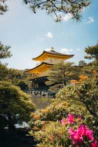 京都：在古建築與千年時光擦肩而過