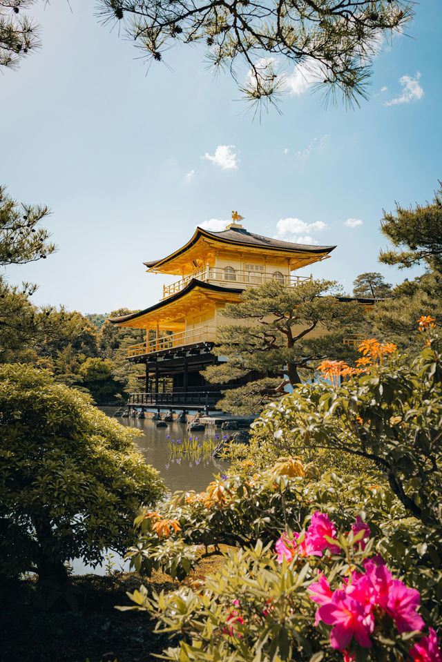 京都：在古建築與千年時光擦肩而過