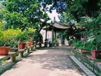 The Ethereal Heartbeat: Immersion in a Fujian Taoist Temple