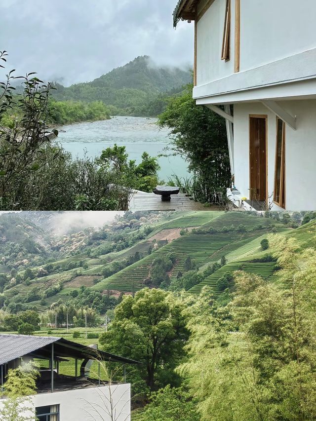 福建武夷山！住進茶山小院！